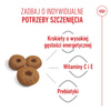 Royal Canin Maxi Starter Mother & Babydog 4kg Karma Sucha Dla Suk W Ciąży I Okresie Laktacji Oraz Szczeniąt Ras Dużych