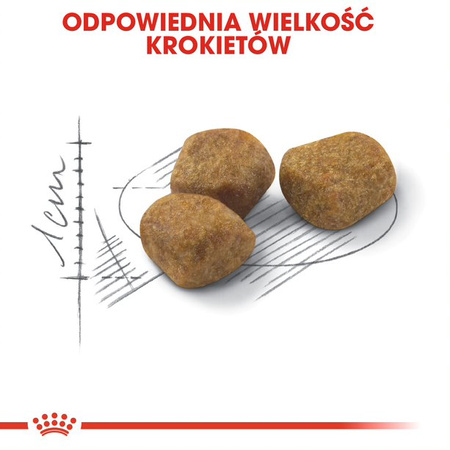 Royal Canin Regular Fit 32 Adult 400g Karma Sucha Dla Kotów Dorosłych Wspierająca Idealną Kondycję