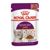 Royal Canin FHN Sensory Taste 12x85g Karma Mokra Kawałki W Sosie Dla Kotów Dorosłych Pobudzająca Wrażenia Smakowe