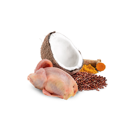 Farmina N&D Dog Quinoa Skin & Coat Quail 285g Mokra Karma Dla Psów Z Wrażliwą Skórą I Alergiami Przepiórka Z Kokosem