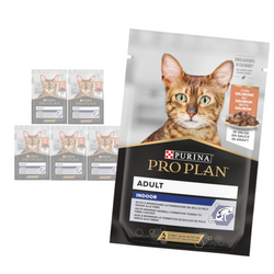 Purina Pro Plan Adult Indoor 6x85g Mokra Karma Dla Kotów Niewychodzących z Łososiem w Sosie