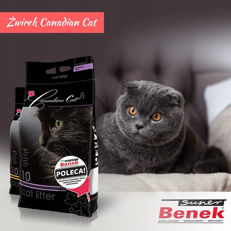  Żwirek Bentonitowy Super Benek Canadian Cat o zapachu lawendowym 10L