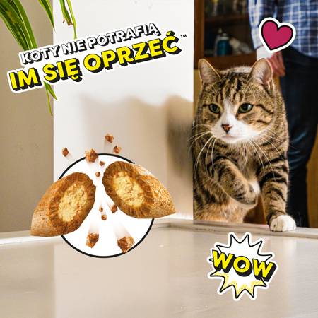 Dreamies z Wyśmienitą Wołowiną 6x60g (360g) Przysmaki dla kota