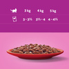 Whiskas Adult 24x85g Klasyczne Posiłki Mokra Karma Pełnoporcjowa Dla Dorosłych Kotów W Sosie