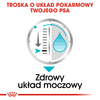 Royal Canin CCN Urinary Care 12x85g Karma Mokra Pasztet Dla Psów Ochrona Dolnych Dróg Moczowych