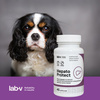 LAB-V Hepato Protect Suplement Dla Psów i Kotów 45 Kapsułek Wspomaganie Funkcji Wątroby