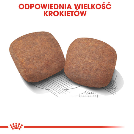 Royal Canin Giant Adult Karma Sucha Dla Psów Dorosłych Ras Olbrzymich 15kg