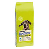 Purina Dog Chow Large Breed Adult 14kg Sucha Karma Dla Psów Dużych Ras z Indykiem