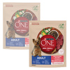 Purina One Mini Adult 2x800g Sucha Karma Dla Psów Małych Ras Z Wołowiną I Ryżem