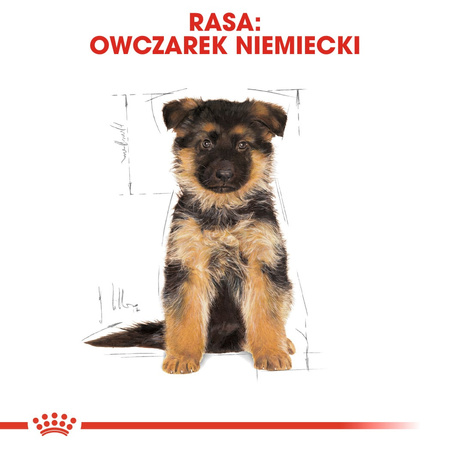 Royal Canin BHN German Shepherd Puppy 3kg Karma Sucha Dla Szczeniąt Do 15 Miesiąca Rasy Owczarek Niemiecki