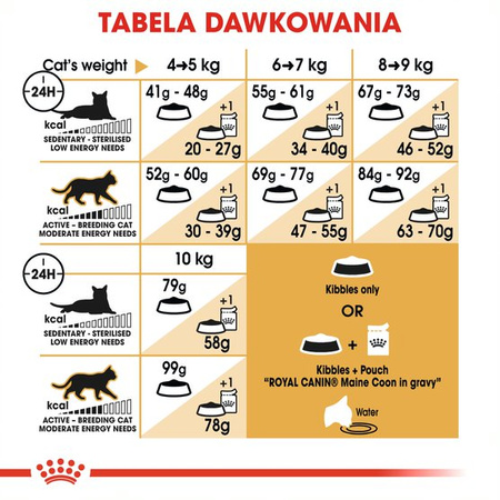 ROYAL CANIN Maine Coon Adult 10kg karma sucha dla kotów dorosłych rasy maine coon