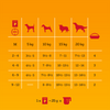Pedigree Junior Wybór Smaków 80x100g Mokra Karma Dla Szczeniąt  Wołowina Kurczak Jagnięcina Ryż W Galaretce