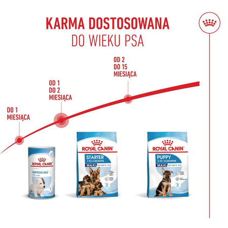 Royal Canin Maxi Starter Mother & Babydog 15kg Karma Sucha Dla Suk W Ciąży I Okresie Laktacji Oraz Szczeniąt Ras Dużych 