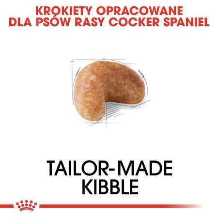 Royal Canin BHN Cocker Spaniel Adult 12kg Karma Sucha Dla Psów Dorosłych Rasy Cocker Spaniel