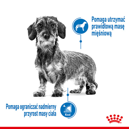 Royal Canin Mini Light Weight Care 8kg Karma Sucha Dla Psów Małych Ras Z Tendencją Do Nadwagi
