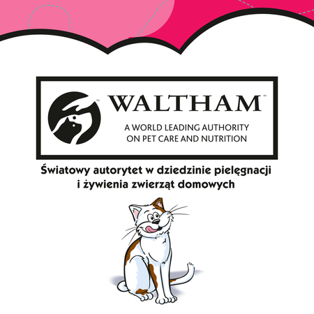 Dreamies zestaw mix 5x60g Przysmaki dla kota