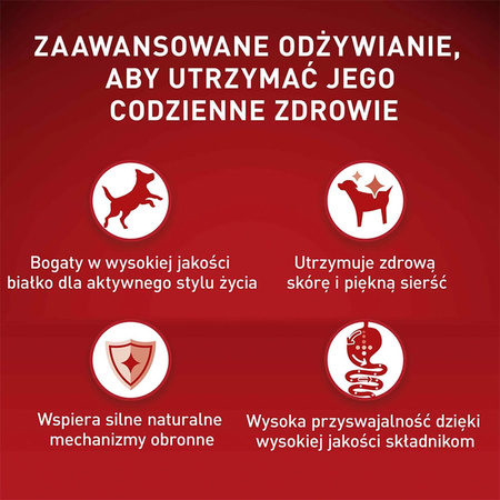 Purina One Mini Adult 4x800g Sucha Karma Dla Psów Małych Ras Z Wołowiną I Ryżem