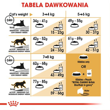 Royal Canin FBN British Shorthair 2kg Karma Sucha Dla Kotów Dorosłych Rasy Brytyjski Krótkowłosy