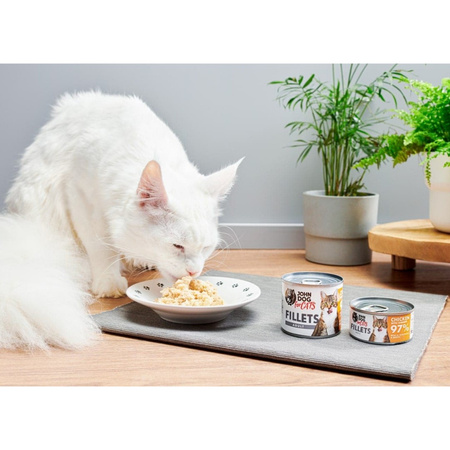 John Dog for Cats Mokra Karma Dla Dorosłych Kotów Kurczak Z Krewetkami 6x70g