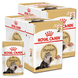 Royal Canin FBN Persian Adult 24x85g Karma Mokra Pasztet Dla Kotów Dorosłych Rasy Pers