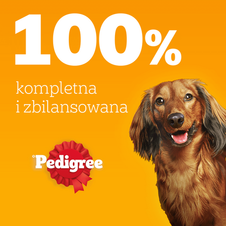 Pedigree Senior Wybór Smaków 32x100g Mokra Karma Dla Psów Z Wołowiną Wątróbką Kurczakiem W Galaretce