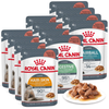 Royal Canin Mix Intense Beauty Digest Sensitive Hairball Care 12x85g Mokra Karma Dla Kotów Dorosłych w Sosie