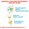 Royal Canin BHN Shih Tzu Puppy 1,5kg Karma Sucha Dla Szczeniąt Do 10 Miesiąca Rasy Shih Tzu