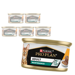 Purina Pro Plan Adult Maintenance 6x85g Mokra Karma Dla Kota Wilgotny Pasztet z Kurczakiem