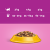 Whiskas Adult 800g Sucha Karma Pełnoporcjowa Dla Dorosłych Kotów Z Kurczakiem