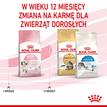 Royal Canin Fhn Kitten 10kg Karma Sucha Dla Kociąt +24x85g Mokra Karma w Sosie