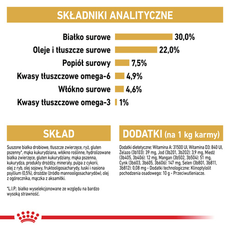 Royal Canin FBN Persian Adult 2kg Karma Sucha Dla Kotów Dorosłych Rasy Pers