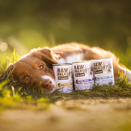 Vet Expert Raw Paleo Adult Monoprotein 12x400g Mokra Karma Dla Psa z Indykiem