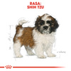 Royal Canin BHN Shih Tzu Puppy 1,5kg Karma Sucha Dla Szczeniąt Do 10 Miesiąca Rasy Shih Tzu