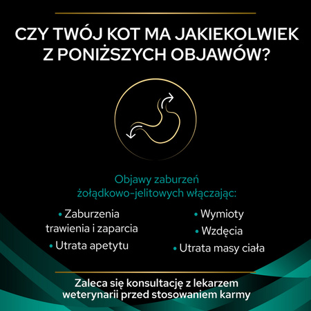 Purina Pro Plan Veterinary Diets Feline EN Gastrointestinal Sucha Karma Dla Kota 400g Zaburzenia Żołądkowo-Jelitowe