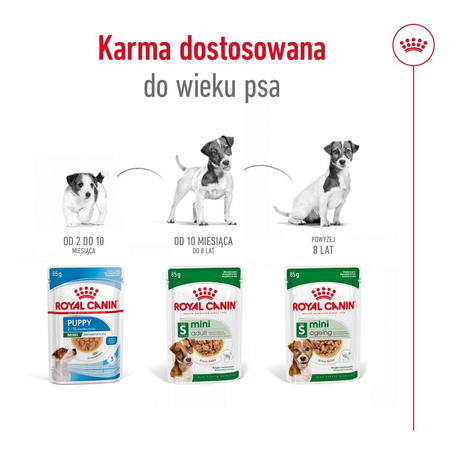 Royal Canin SHN Mini Adult 36x85g Karma Mokra W Sosie Dla Psów Dorosłych Ras Małych