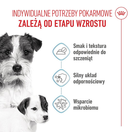 Royal Canin Starter Mousse Mother & Babydog 12x195g Karma Mokra Mus Dla Suk W Czasie Ciąży Laktacji I Szczeniąt