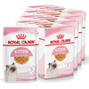 Royal Canin FHN Kitten Instinctive 48x85g Karma Mokra W Galaretce Dla Kociąt Do 12 Miesiąca Życia