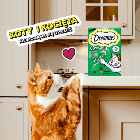 Dreamies Creamy 16x10g Kremowy Przysmak Dla Kotów Mix 2 Smaków Ser I Kocimiętka