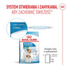 Royal Canin Mini Starter Mother & Babydog 4kg Karma Sucha Dla Suk W Ciąży I Okresie Laktacji Oraz Szczeniąt Ras Małych