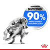 Royal Canin Maxi Light Weight Care 12kg Karma Sucha Dla Psów Dużych Ras Z Tendencją Do Nadwagi