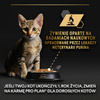 Purina Pro Plan Kitten Healthy Start 85g Mokra Karma Dla Kociąt Mus z Kurczakiem