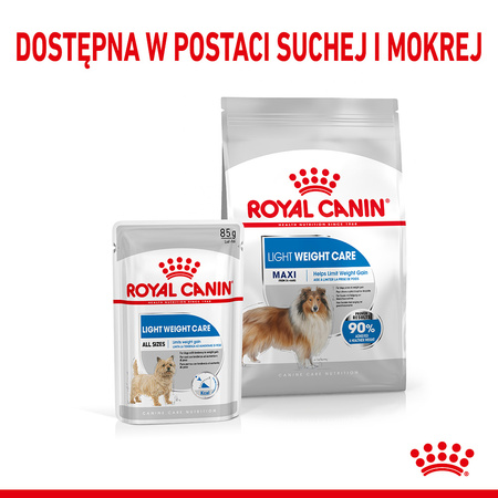 Royal Canin Maxi Light Weight Care 3kg Karma Sucha Dla Psów Dużych Ras Z Tendencją Do Nadwagi