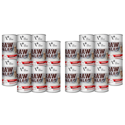 VetExpert RAW PALEO ADULT BEEF 24x400g - z wołowiną Karma Dla Psa