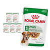 Royal Canin Mini Ageing 12+ 6x85g Karma Mokra Kawałki W Sosie Dla Psów Dojrzałych Po 12 Roku Życia Ras Małych