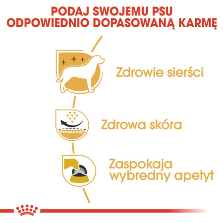 Royal Canin BHN West Highland White Terrier Adult 3kg Karma Sucha Dla Psów Dorosłych Rasy West Highland White Terrier