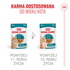 Royal Canin Ageing 11+ Jelly Karma Mokra 85g Kawałki w Galaretce Dla Kotów Dojrzałych Po 11 Roku Życia