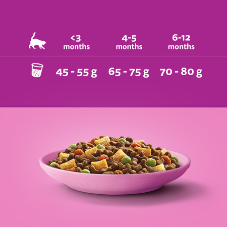 Whiskas Junior 5x800g Sucha Karma Pełnoporcjowa Dla Kociąt Z Kurczakiem