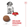 Royal Canin SHN Medium Puppy 15kg Karma Sucha Dla Szczeniąt Od 2 Do 12 Miesiąca Ras Średnich