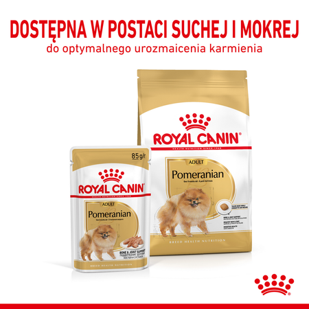 Royal Canin Pomeranian Adult 12x85g Karma Mokra, Pasztet Dla Psów Dorosłych Rasy Szpic Miniaturowy