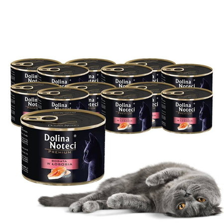 Dolina Noteci Premium 12x185g Bogata W Łososia Mokra Karma Dla Kota